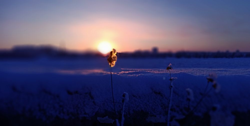 Синяя сказка