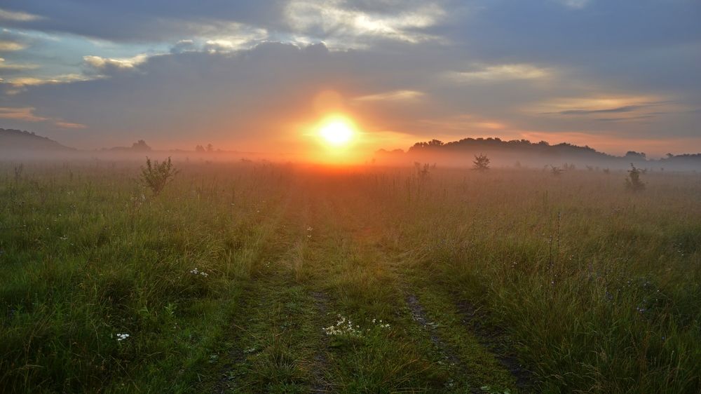 Photograph by Александр Дергаусов