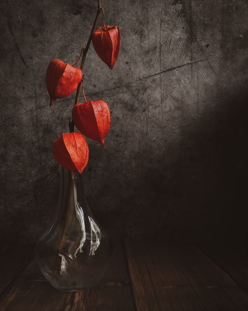 Photograph by Helen Ka