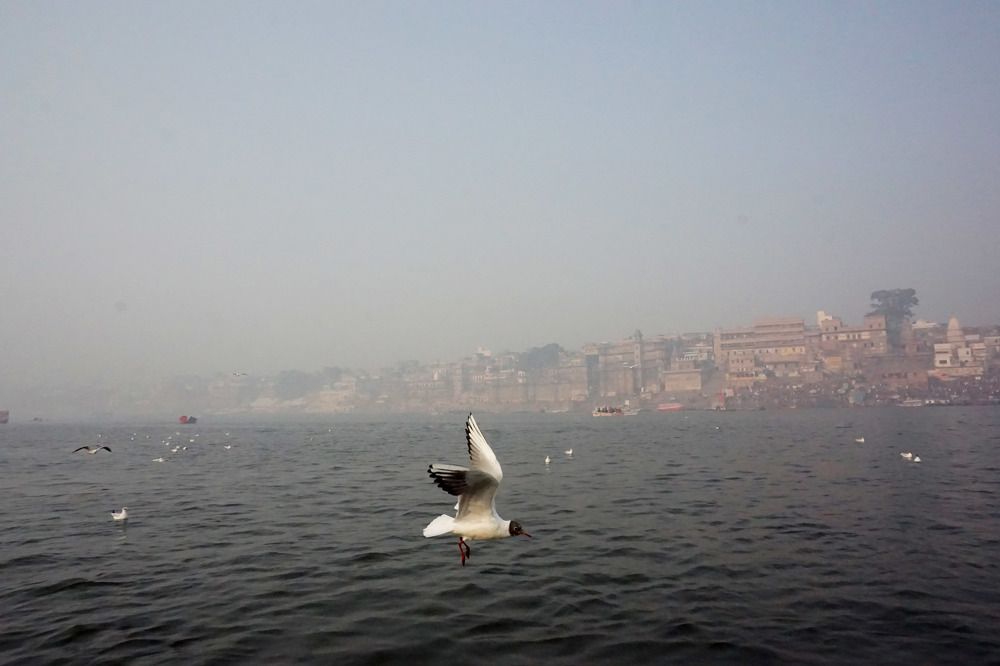 Photograph by Manish (Valmie) Joshi