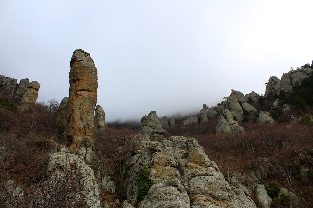 Photograph by Galina Tsmyg