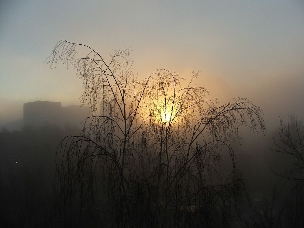 Фотография автора Владислава Андрюнина
