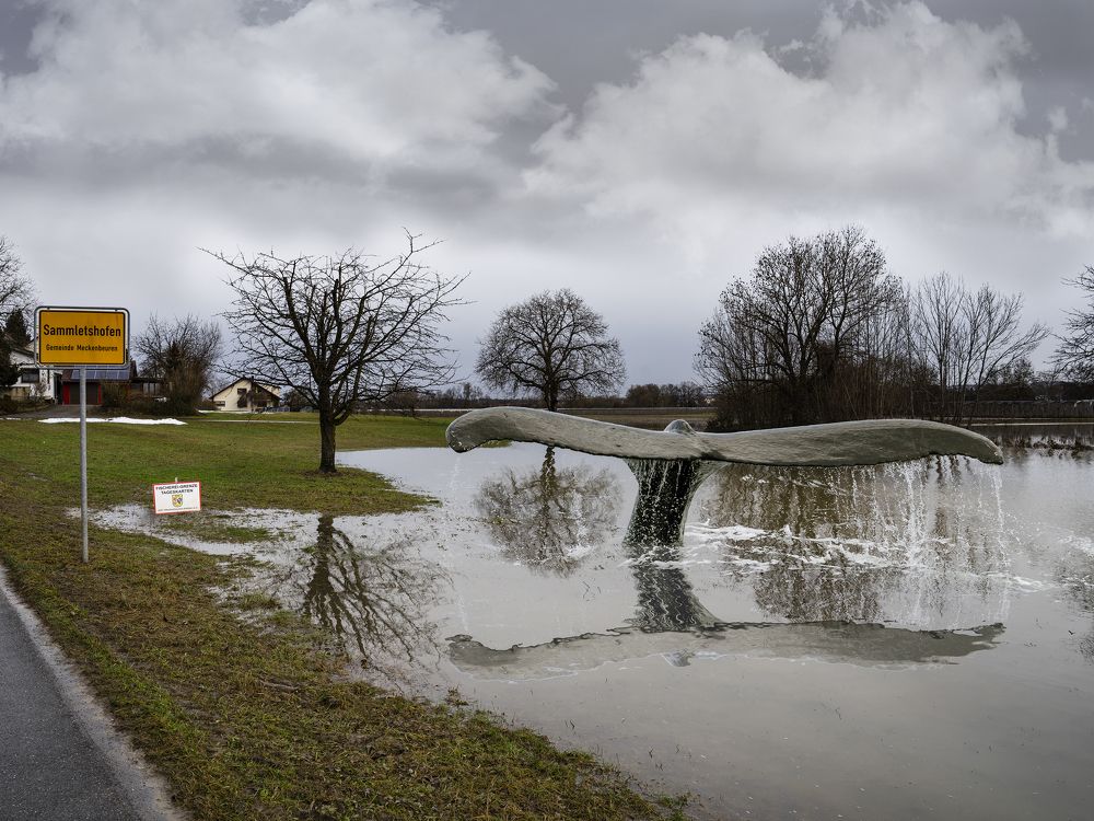 Did You Ever seen that Whale in Germany?