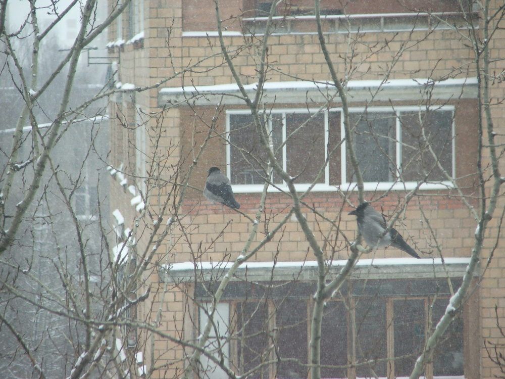 Фотография автора Владислава Андрюнина