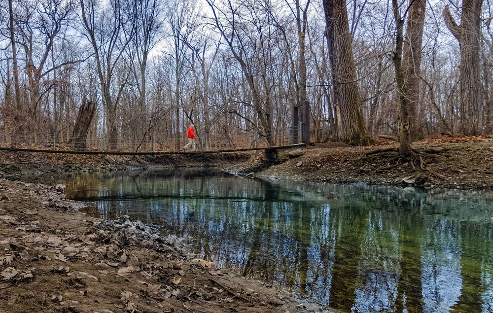 Фотография автора Qassem Ahmed Alzarra