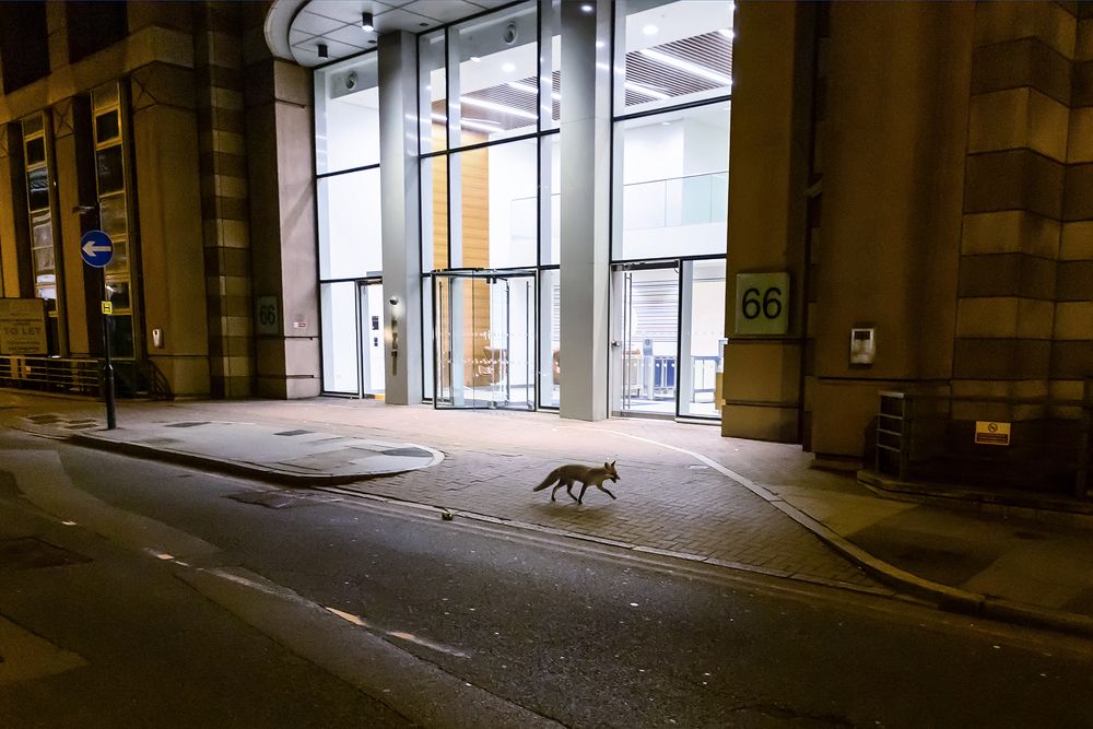 Photograph by Normunds Kaprano