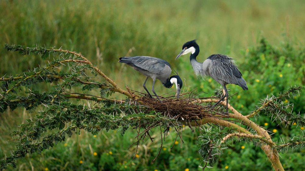 Photograph by Artem Khazov