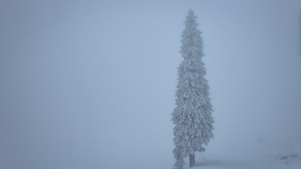 Photograph by George Alexandru Ghiuro