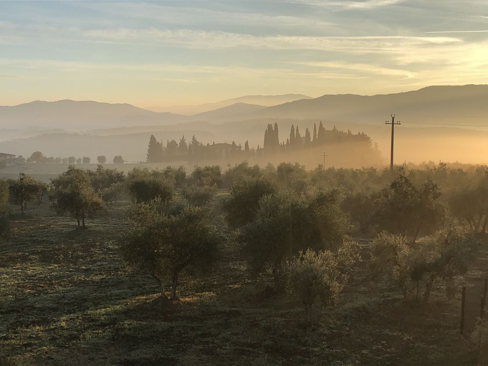 Photograph by Наталья