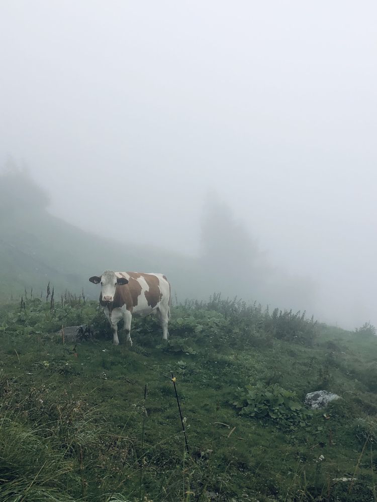 Photograph by Наталья