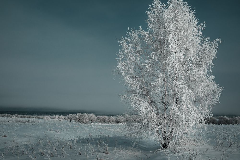 Фотография автора Татьяна Жёлтикова