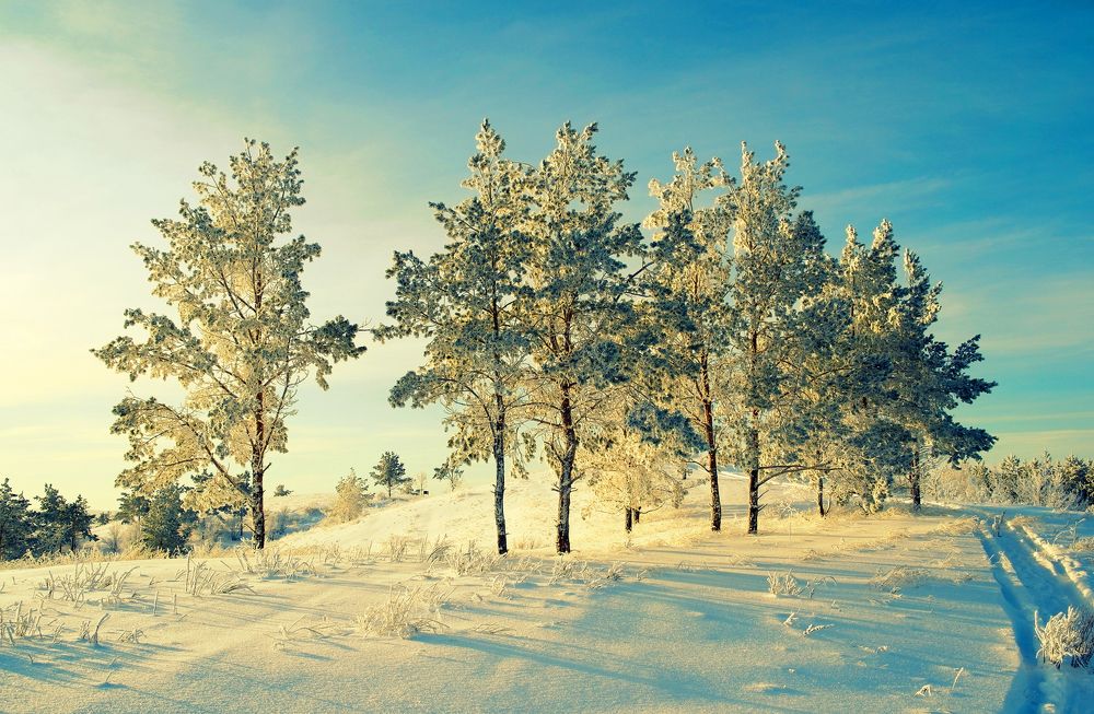 Зимний вечерний пейзаж
