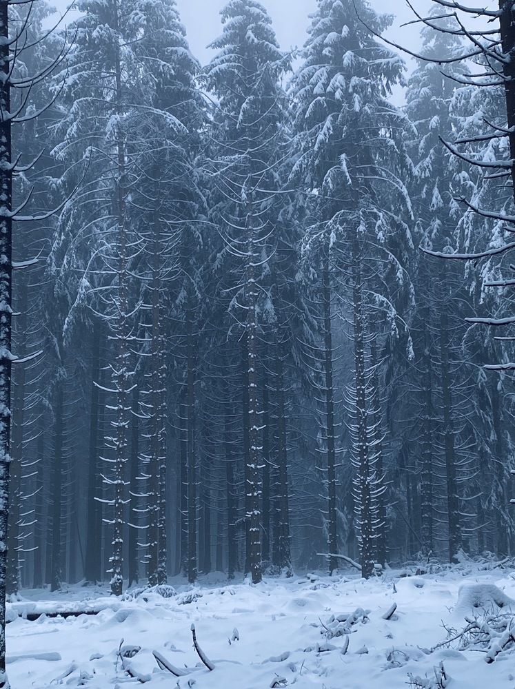 Photograph by Наталья