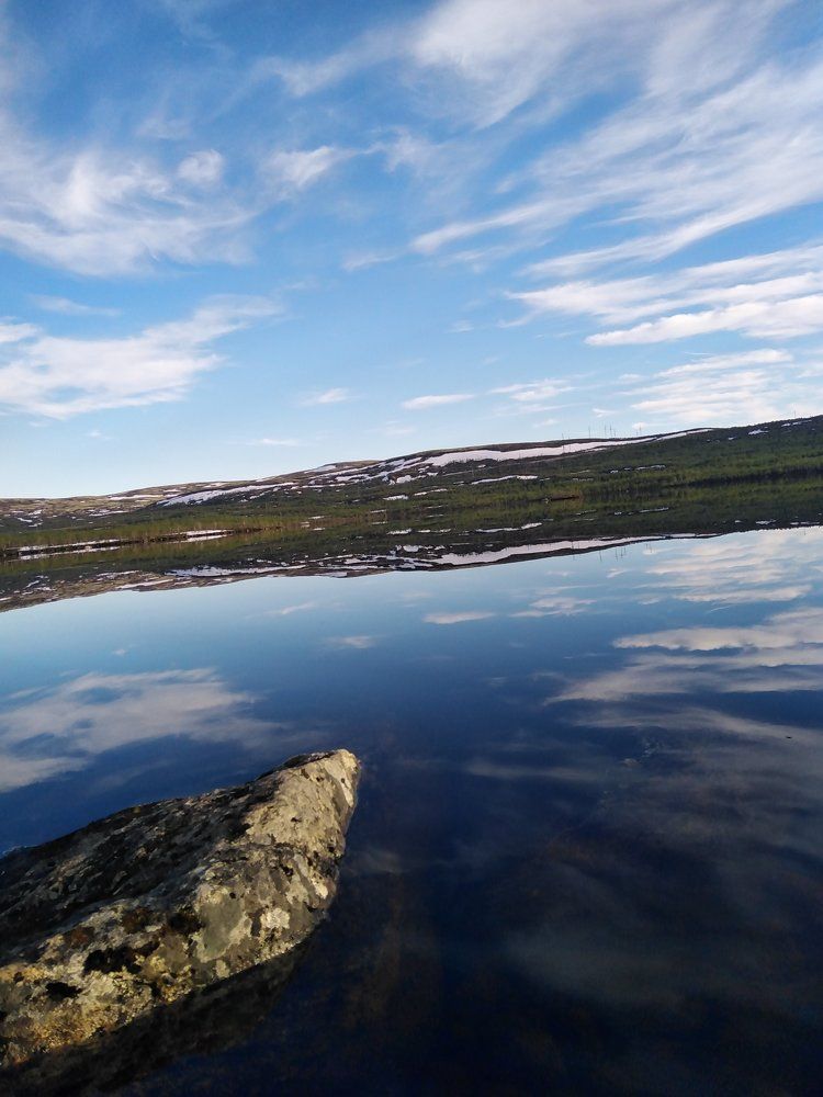 Photo #6895763