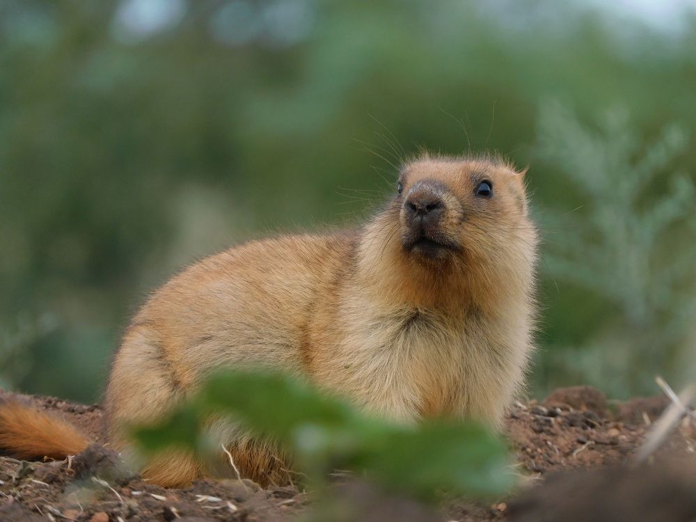 Photograph by Артур Исхаков