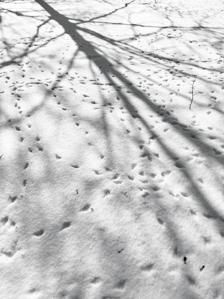 Фотография автора Марина Спильнык