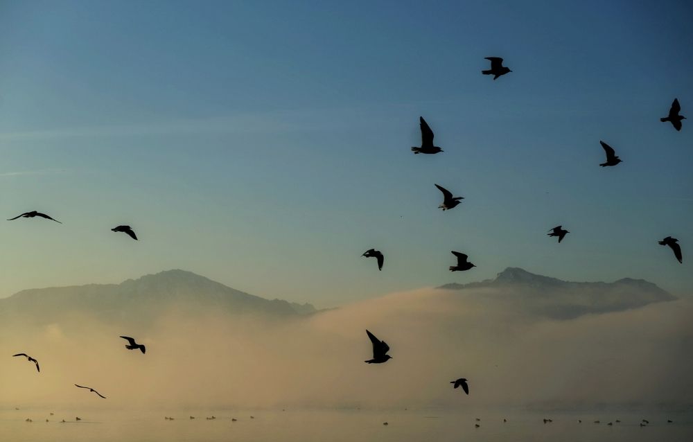 Photograph by Eva Wiedemann