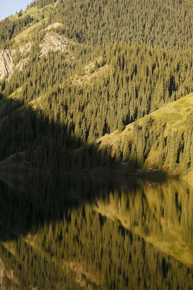 Photograph by Елизавета Верёвкина