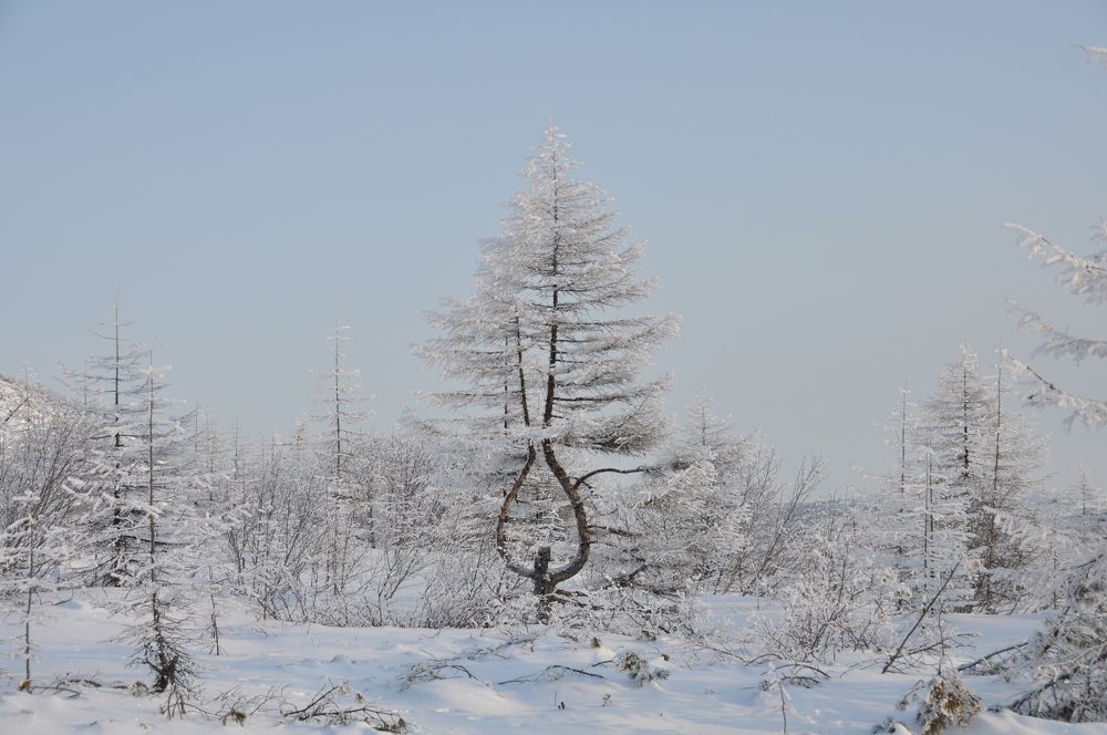 Photograph by Евгений Захаров