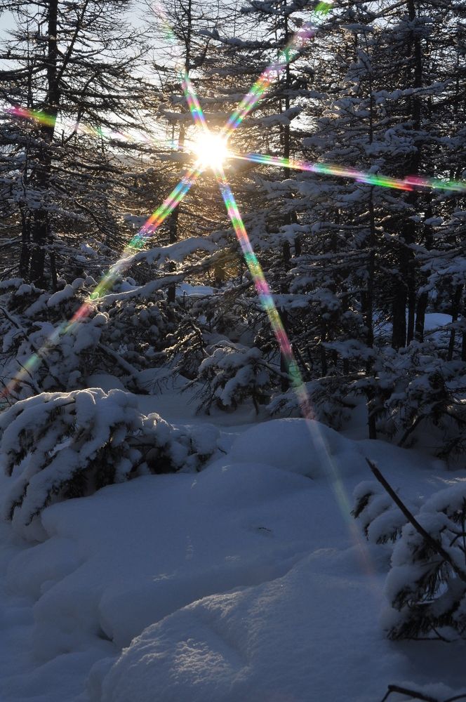 Photograph by Евгений Захаров