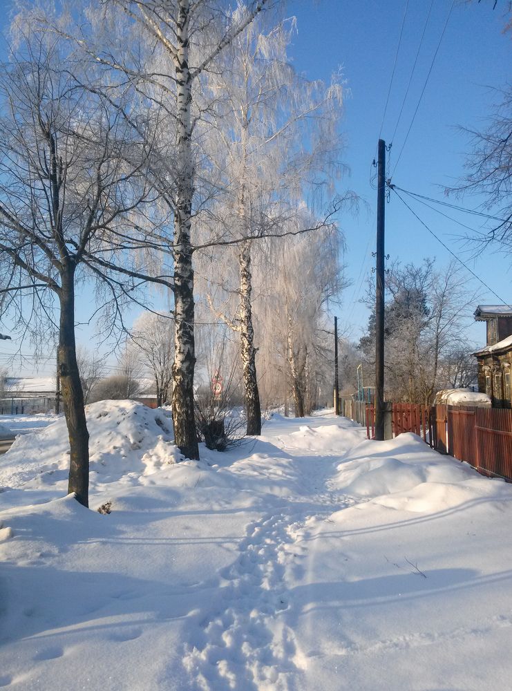Фотография автора Ольга Савочкина