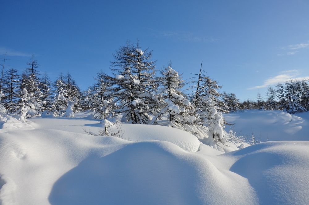 Photograph by Евгений Захаров