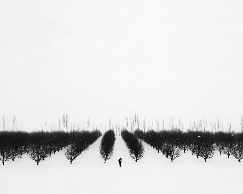 Фотография автора Alipour mohammad