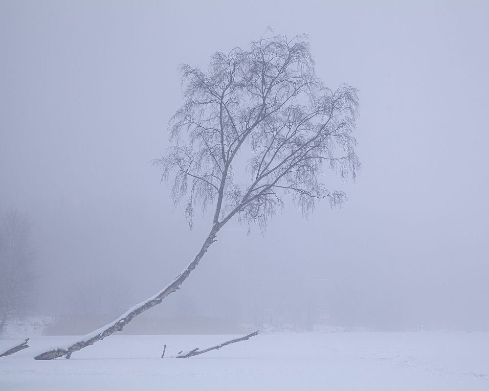 Photograph by Denis Churin