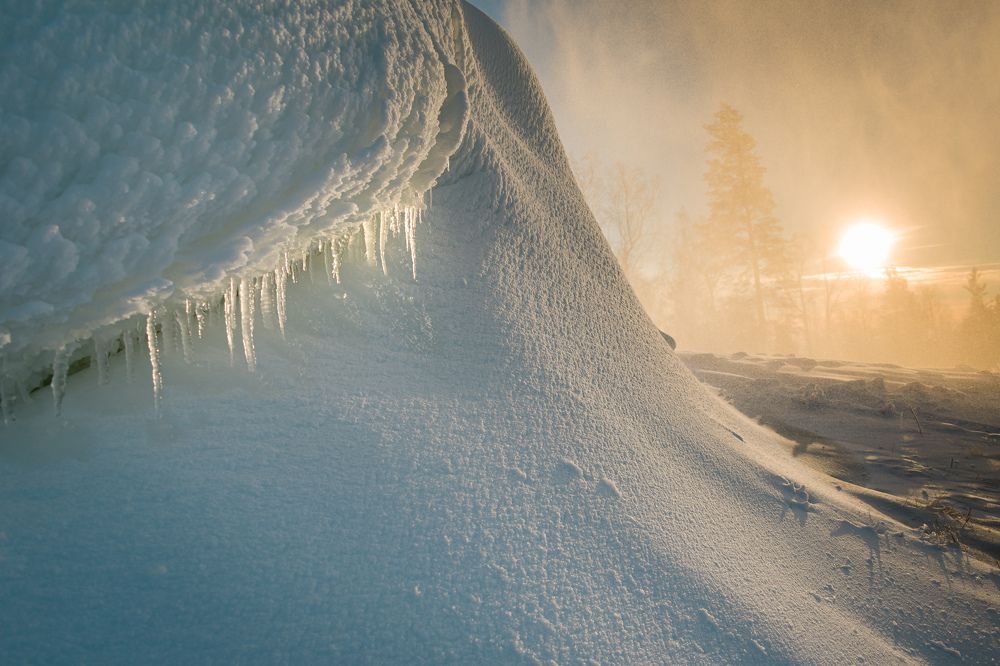 Photograph by Олег Бережных