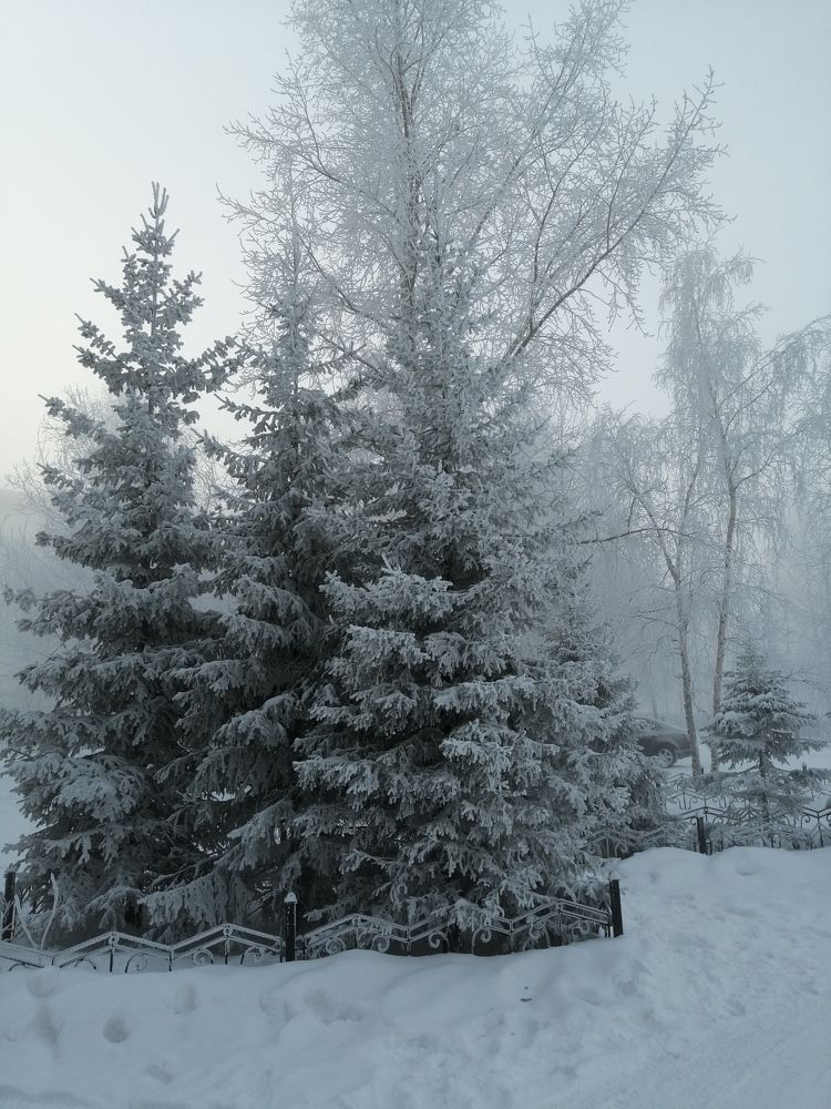 Photograph by Виталий Са