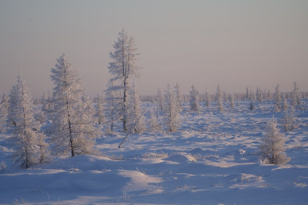 Фотография автора Виктория Ким