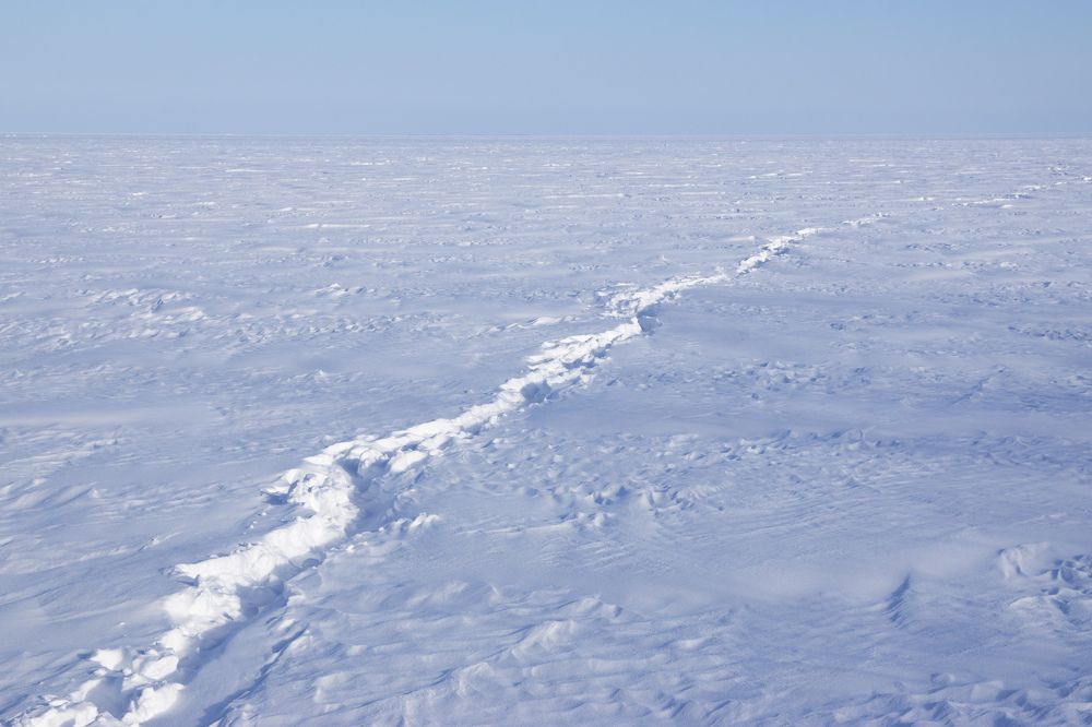 Photograph by Анна Васильева