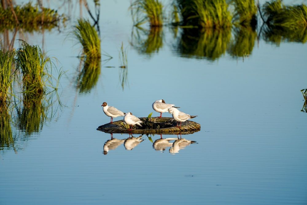 Фотография автора Виктория Ким