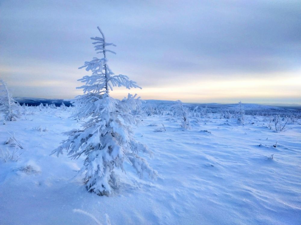 Photograph by Александр