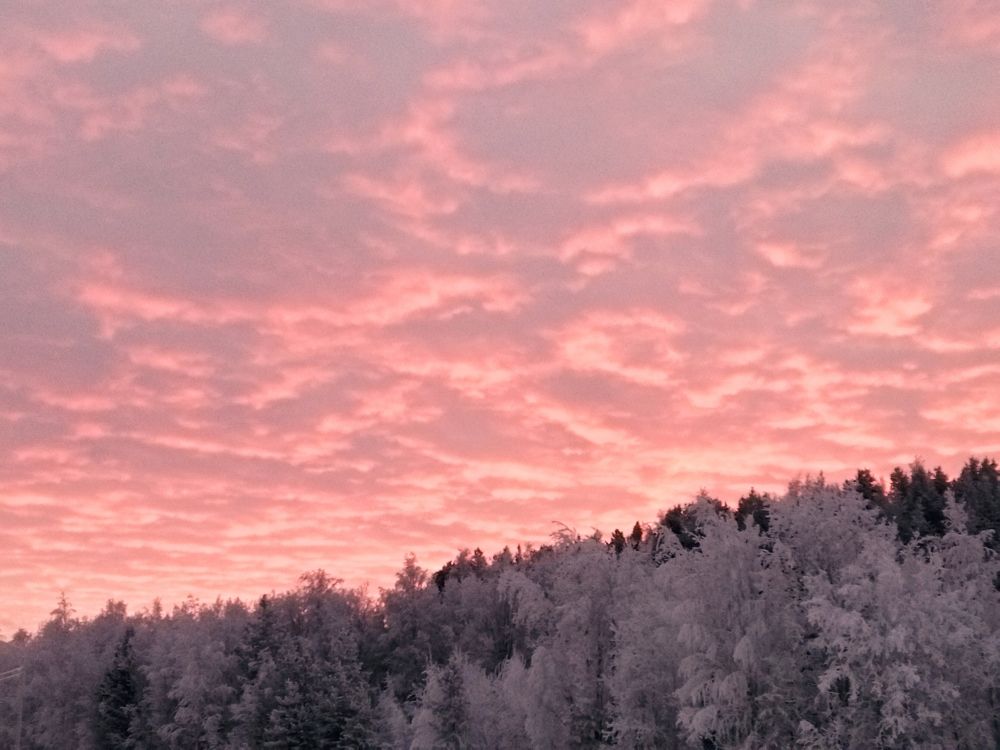 Photograph by Александр