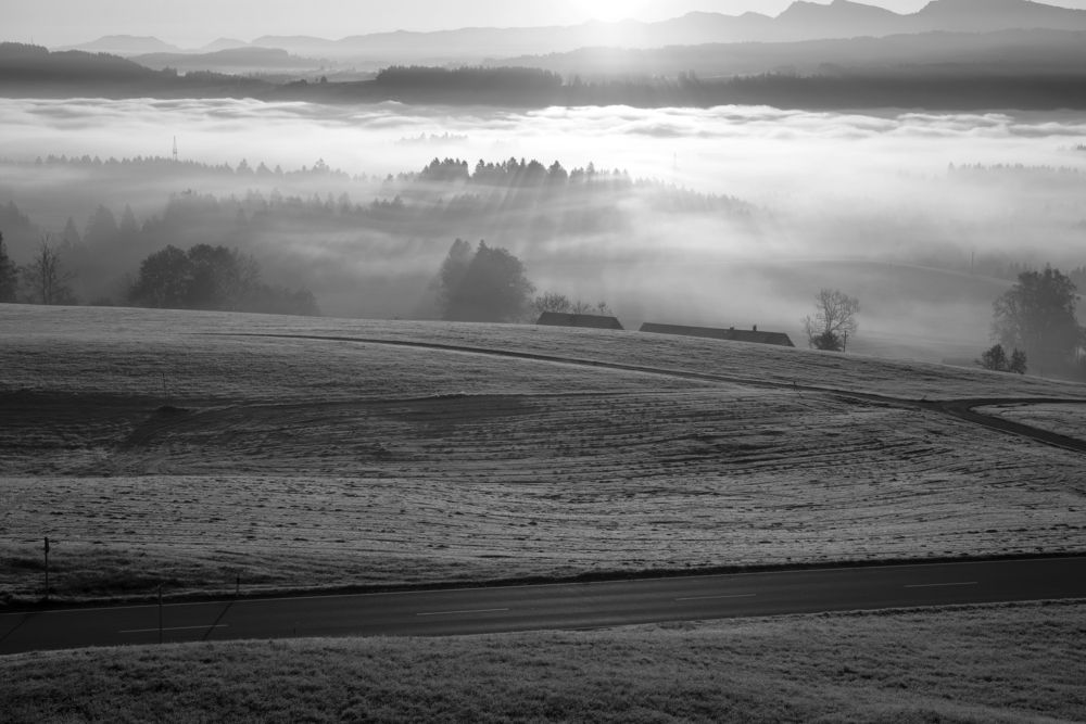 Photograph by Ala Botnarescu