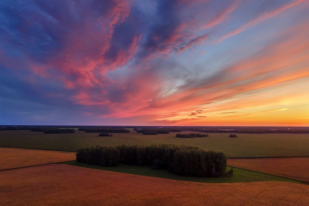 Photograph by Sokolova Tatiana