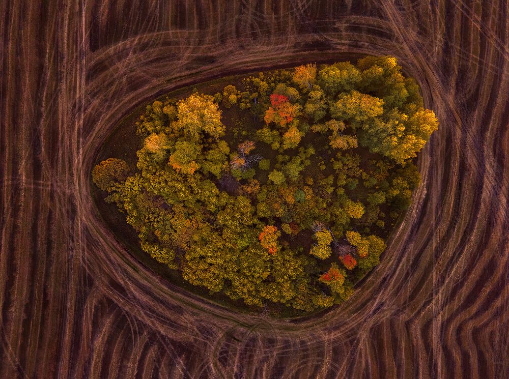 Photograph by Sokolova Tatiana