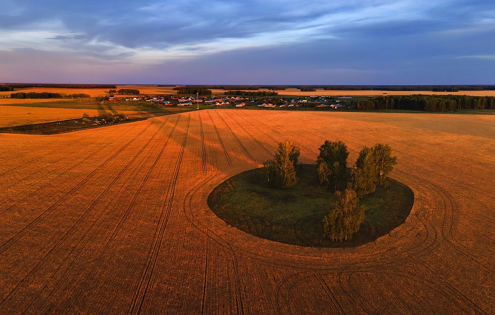 Photograph by Sokolova Tatiana