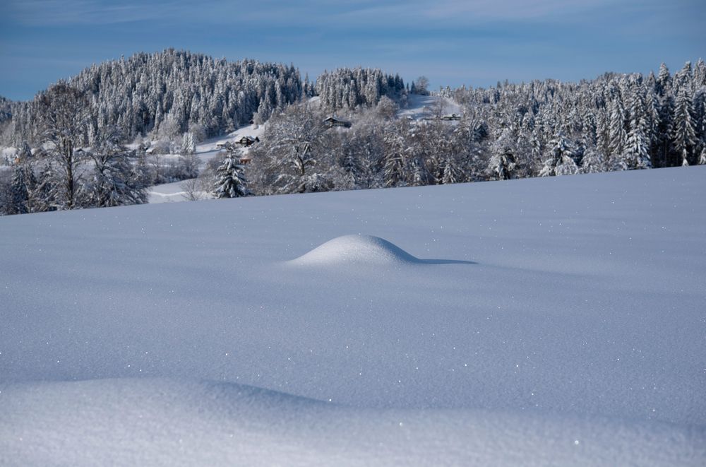 Photograph by Ala Botnarescu
