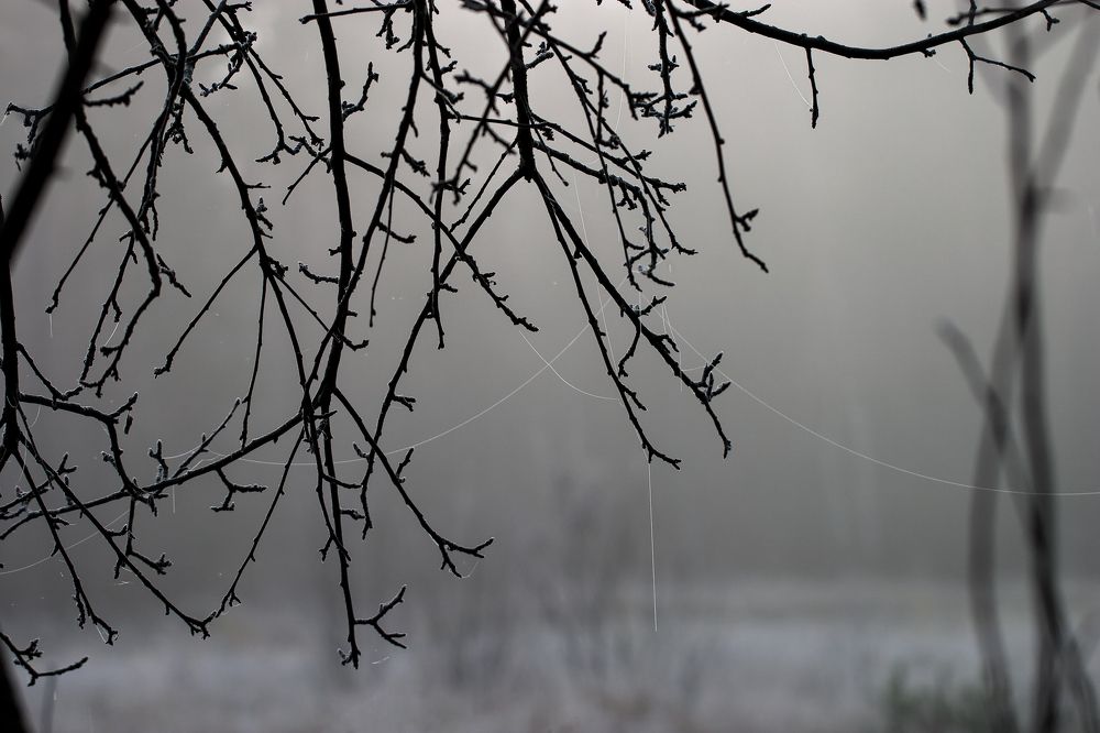 Фотография автора Екатерина Молодкина