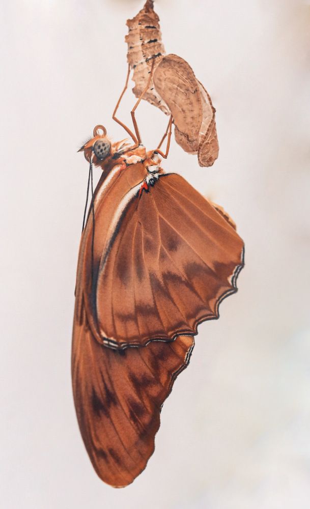 Photograph by Olga von Dahm