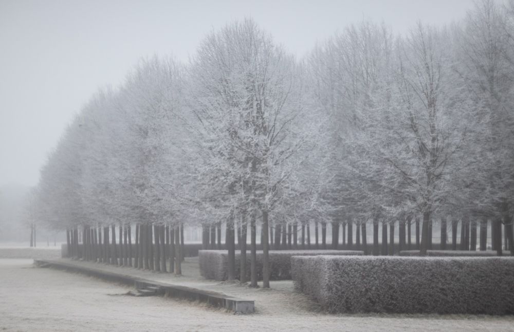 Photograph by Ксения Лаевская