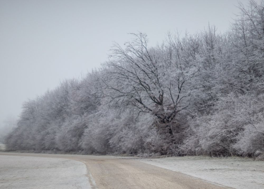 Photograph by Ксения Лаевская