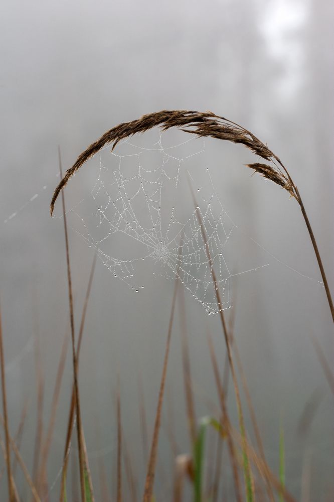 Фотография автора Екатерина Молодкина