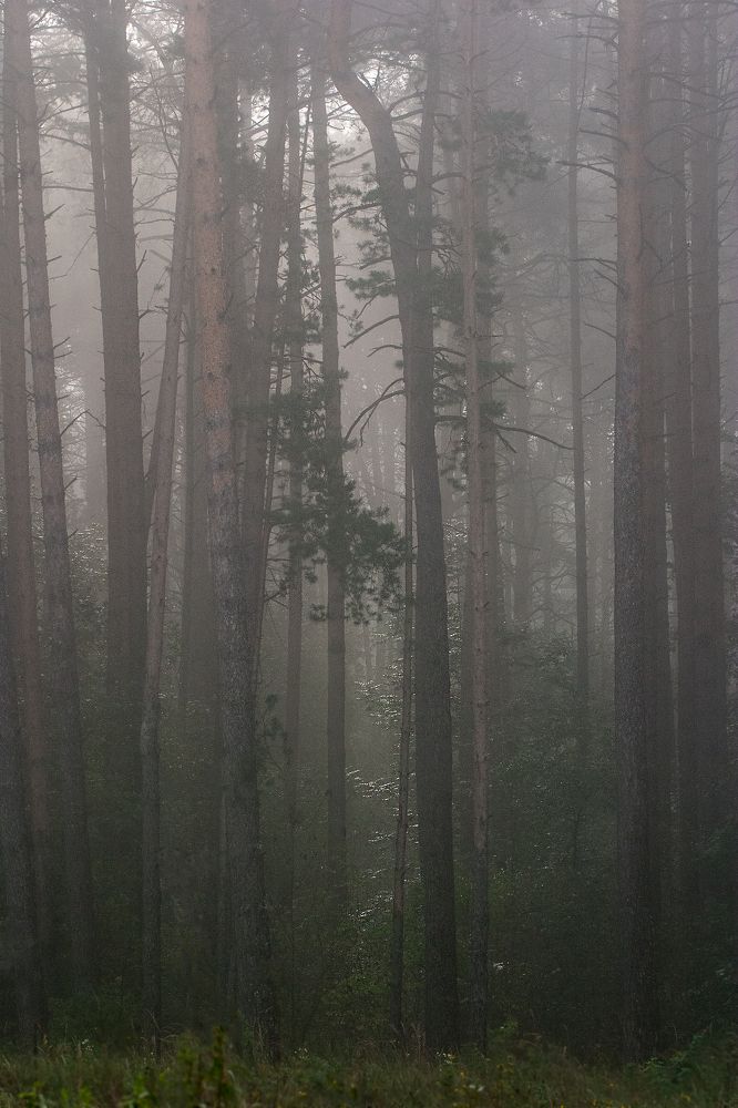 Фотография автора Екатерина Молодкина