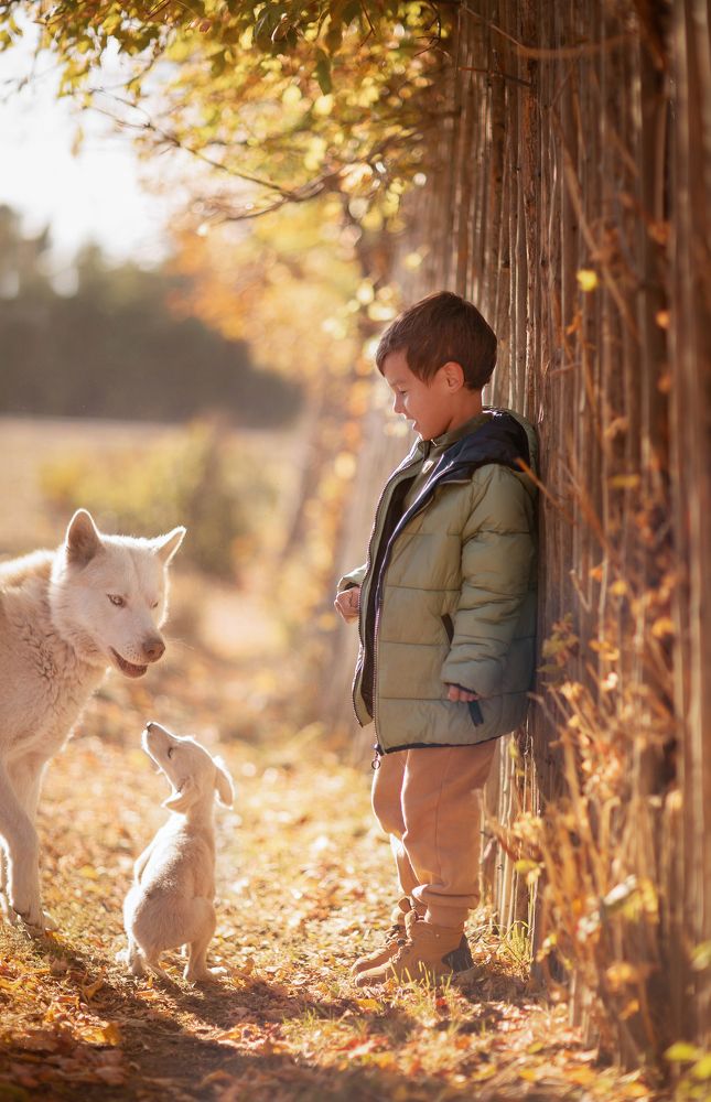 Неожиданная встреча