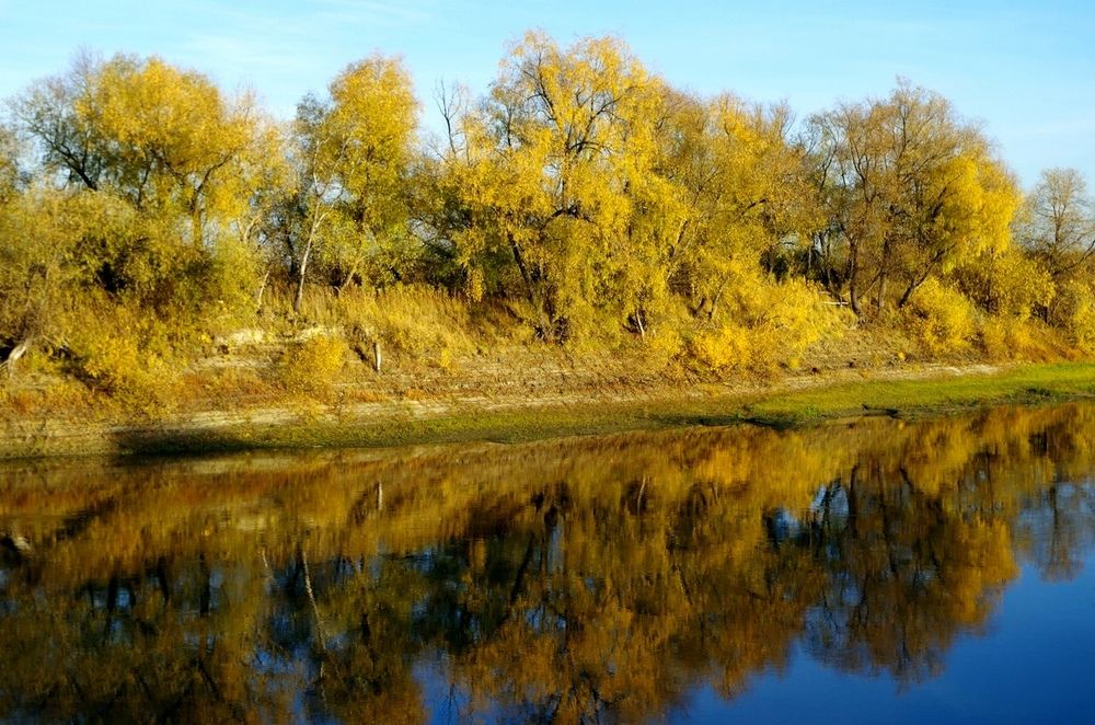 Photograph by Михаил Курзанцев