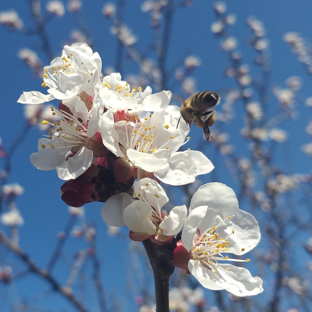 Photograph by Vitalie