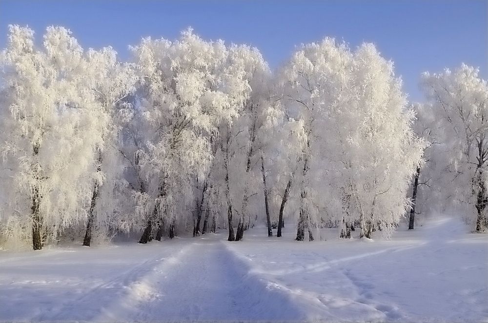 Photograph by Михаил Курзанцев